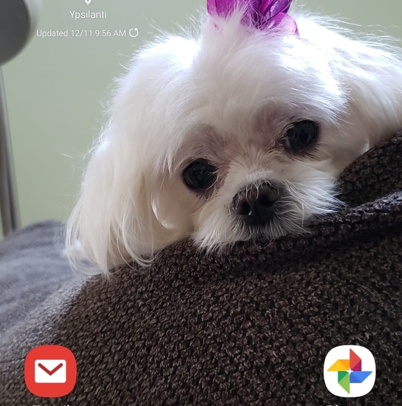 Meet your Posher, Sharon - Picture 1 of 1